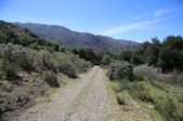 Enlarge photo 245
