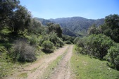 Enlarge photo 246