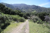 Enlarge photo 247