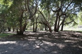 Enlarge photo 249