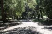 Enlarge photo 250