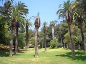Wattles Gardens Park