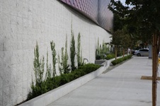 Enlarge photo 33