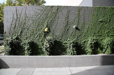 Enlarge photo 38