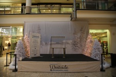 Enlarge photo 33