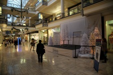 Enlarge photo 36