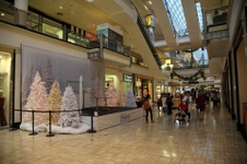 Enlarge photo 35