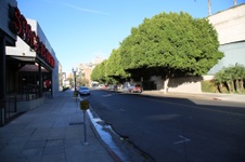Enlarge photo 11