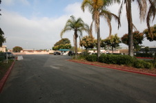 Enlarge photo 118