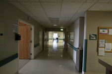 Enlarge photo 47