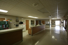 Enlarge photo 58