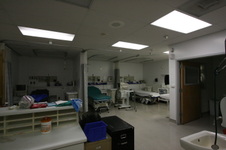 Enlarge photo 82