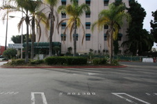 Enlarge photo 115