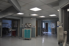 Enlarge photo 40