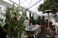 Enlarge photo 56
