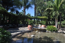 Enlarge photo 75