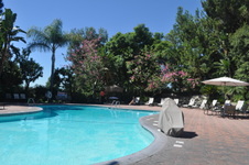 Enlarge photo 81