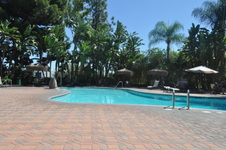 Enlarge photo 88