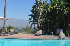 Enlarge photo 92
