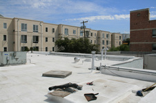 Enlarge photo 31