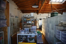 Enlarge photo 13