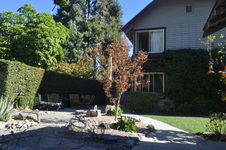 Enlarge photo 40