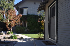 Enlarge photo 41