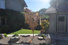 Enlarge photo 42