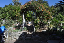 Enlarge photo 28
