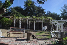 Enlarge photo 30