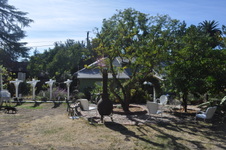 Enlarge photo 31