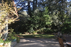 Enlarge photo 42
