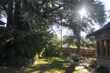 Enlarge photo 46