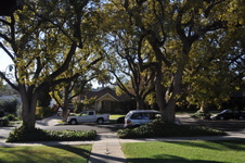 5138 Shearin Ave, Eagle Rock