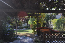Enlarge photo 41