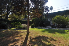 Enlarge photo 43