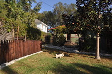 Enlarge photo 44