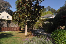 Enlarge photo 47