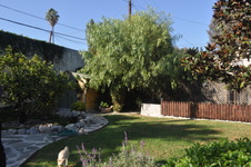 Enlarge photo 48