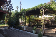 Enlarge photo 49