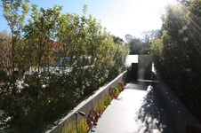 Enlarge photo 65