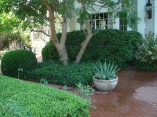 Enlarge photo 5