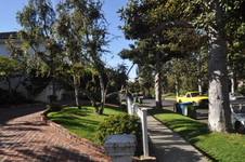 Enlarge photo 7