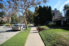 Enlarge photo 37