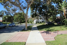 Enlarge photo 60