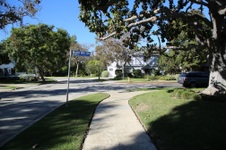 Enlarge photo 62