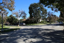 Enlarge photo 63