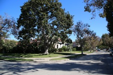 Enlarge photo 64
