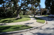 Enlarge photo 66