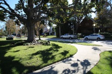 Enlarge photo 71